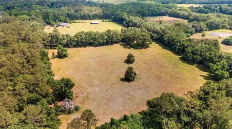 10210 NW 200th Street Road Micanopy FL 32667
