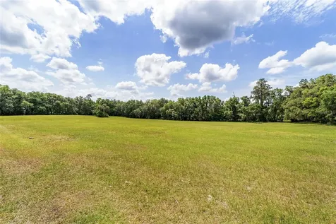 10210 NW 200th Street Road Micanopy FL 32667