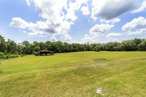 10210 NW 200th Street Road Micanopy FL 32667
