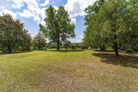 10210 NW 200th Street Road Micanopy FL 32667