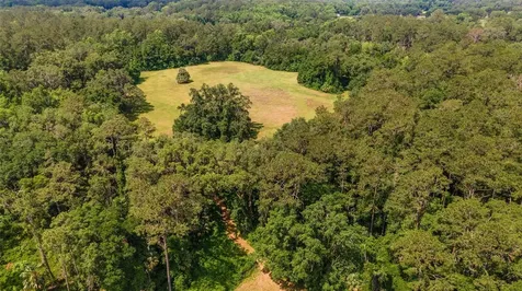 10210 NW 200th Street Road Micanopy FL 32667
