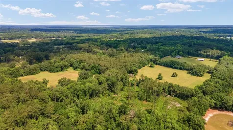 10210 NW 200th Street Road Micanopy FL 32667