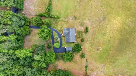 10210 NW 200th Street Road Micanopy FL 32667