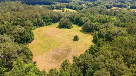 10210 NW 200th Street Road Micanopy FL 32667