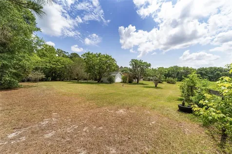 10210 NW 200th Street Road Micanopy FL 32667