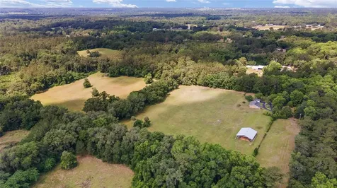 10210 NW 200th Street Road Micanopy FL 32667