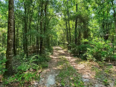 167 SE Condor Glen High Springs FL 32643