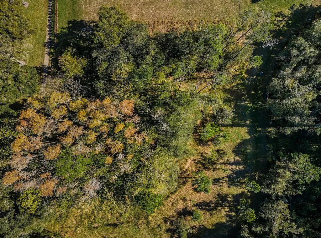 4390 Tarpon Lake Boulevard Palm Harbor FL 34685