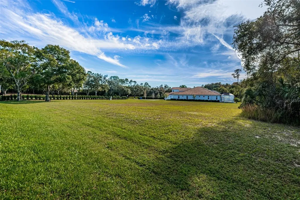 4390 Tarpon Lake Boulevard Palm Harbor FL 34685