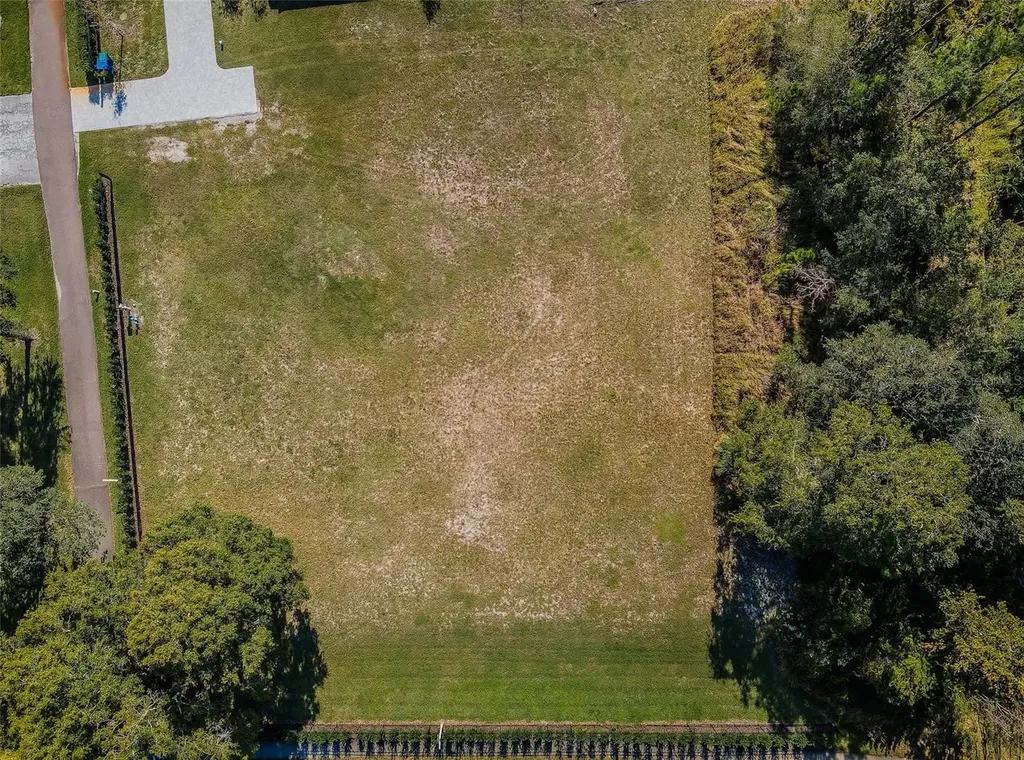 4390 Tarpon Lake Boulevard Palm Harbor FL 34685