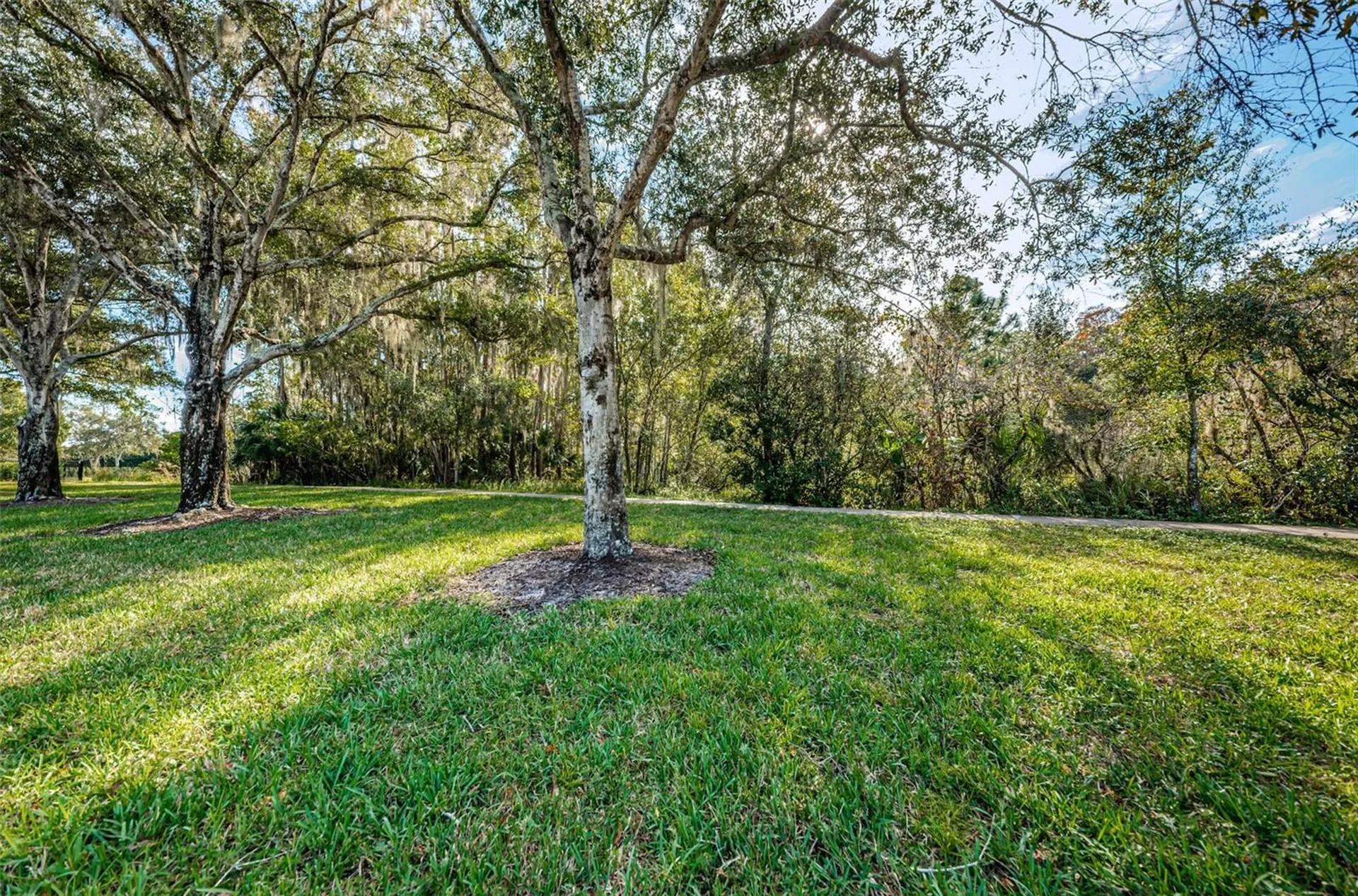 4390 Tarpon Lake Boulevard Palm Harbor FL 34685