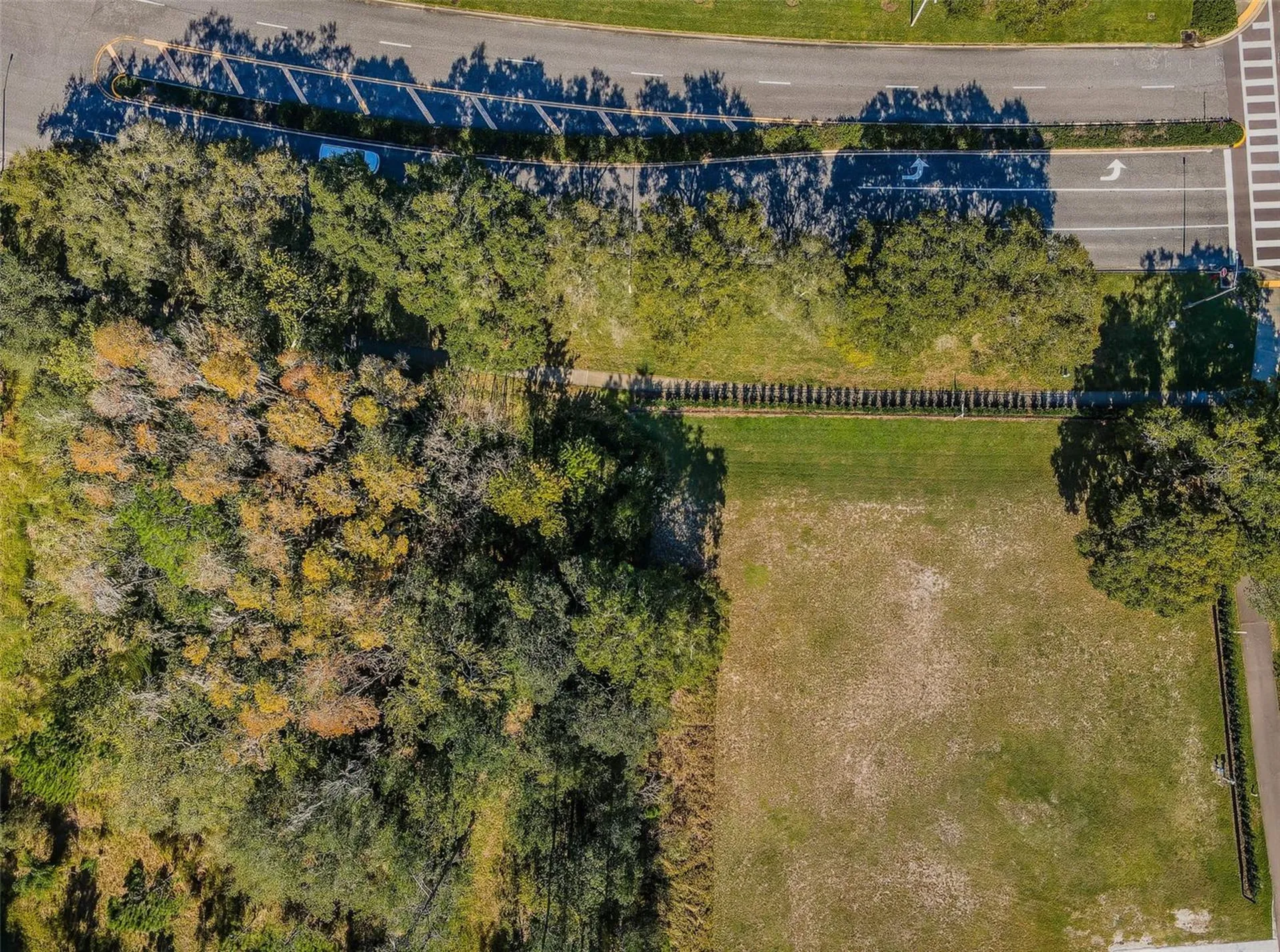 4390 Tarpon Lake Boulevard Palm Harbor FL 34685