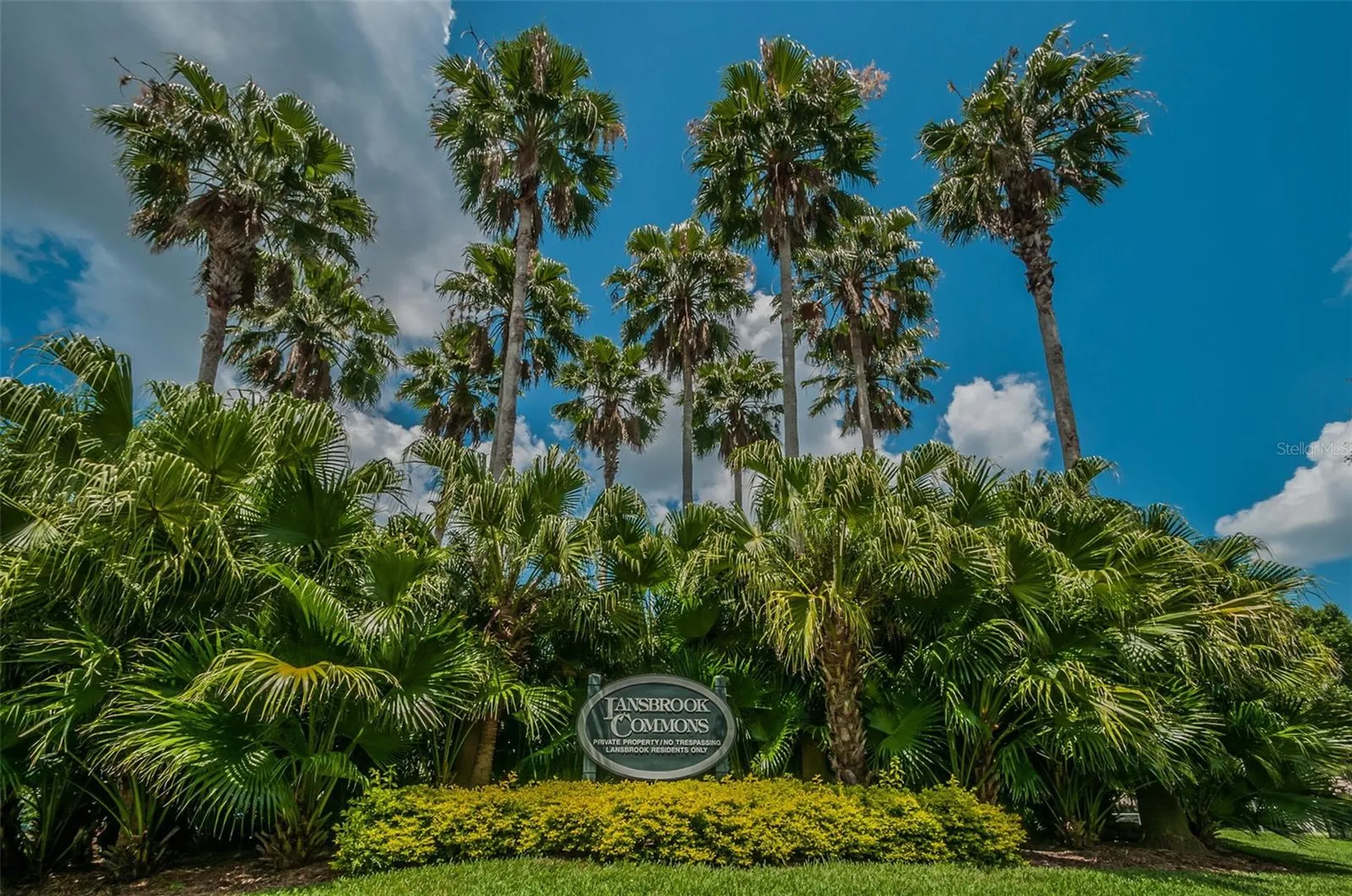 4390 Tarpon Lake Boulevard Palm Harbor FL 34685