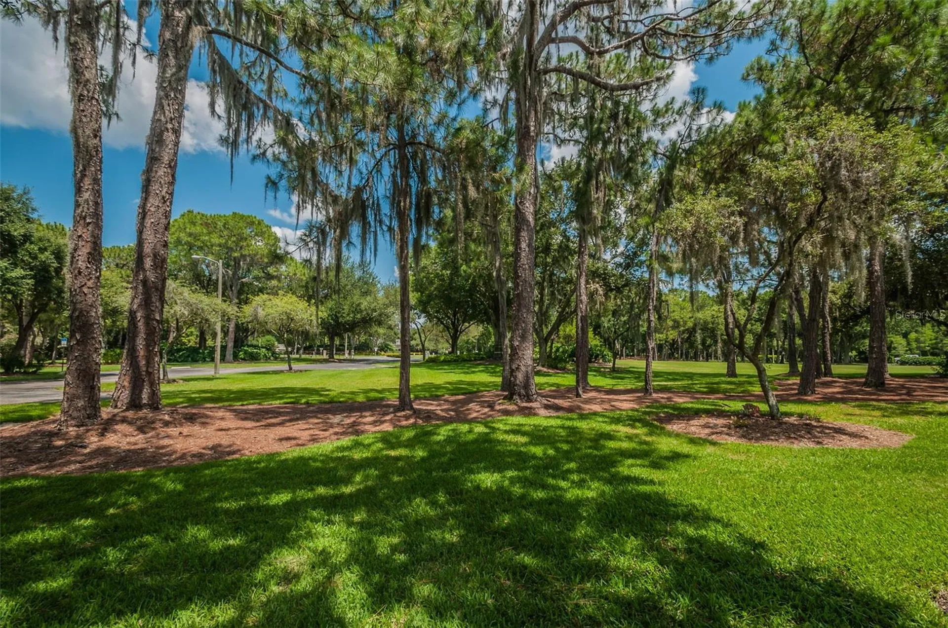 4390 Tarpon Lake Boulevard Palm Harbor FL 34685
