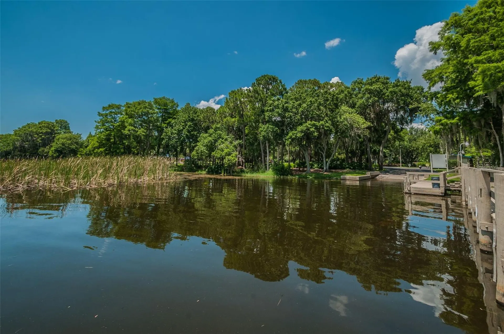 4390 Tarpon Lake Boulevard Palm Harbor FL 34685