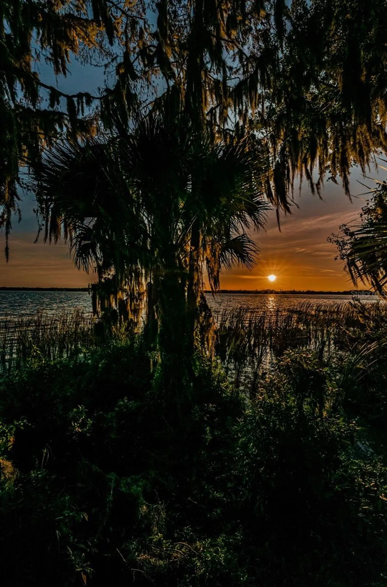 4390 Tarpon Lake Boulevard Palm Harbor FL 34685