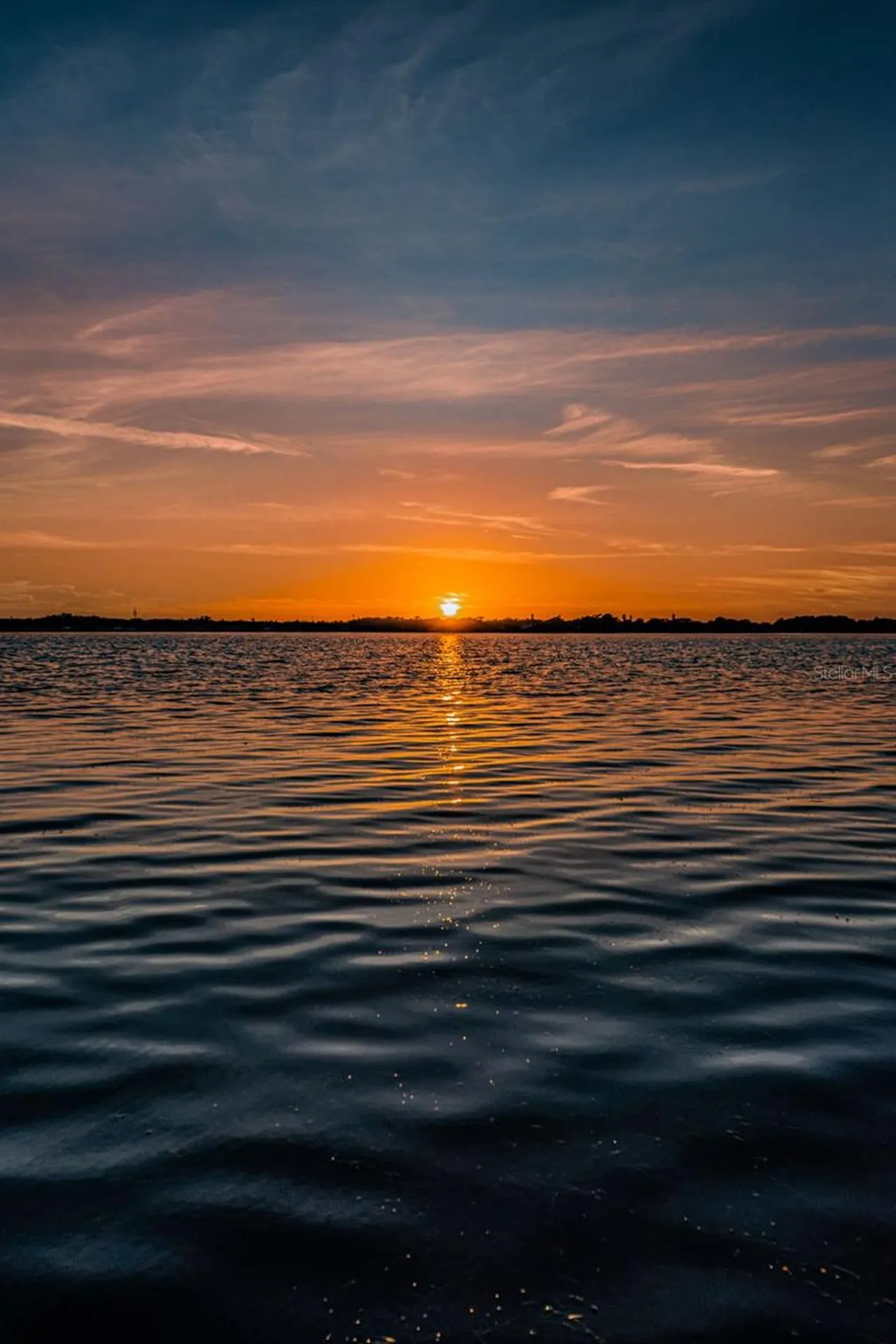 4390 Tarpon Lake Boulevard Palm Harbor FL 34685