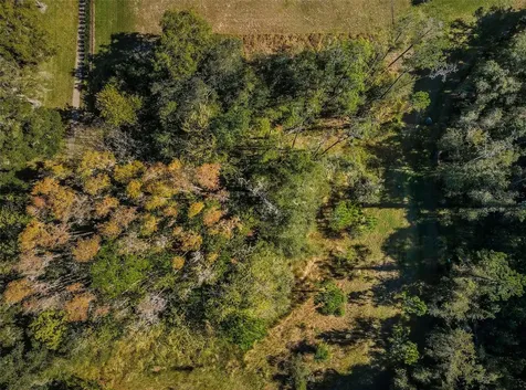 4390 Tarpon Lake Boulevard Palm Harbor FL 34685