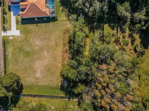 4390 Tarpon Lake Boulevard Palm Harbor FL 34685