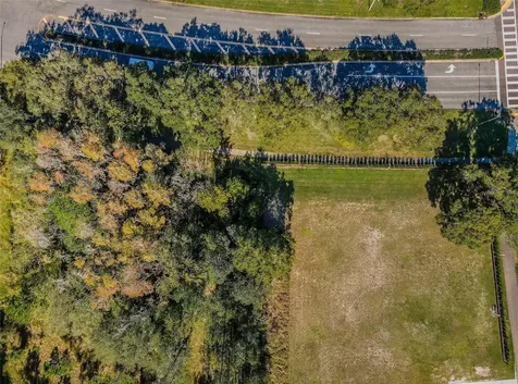 4390 Tarpon Lake Boulevard Palm Harbor FL 34685