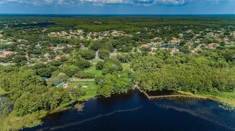 4390 Tarpon Lake Boulevard Palm Harbor FL 34685