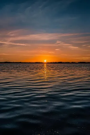 4390 Tarpon Lake Boulevard Palm Harbor FL 34685