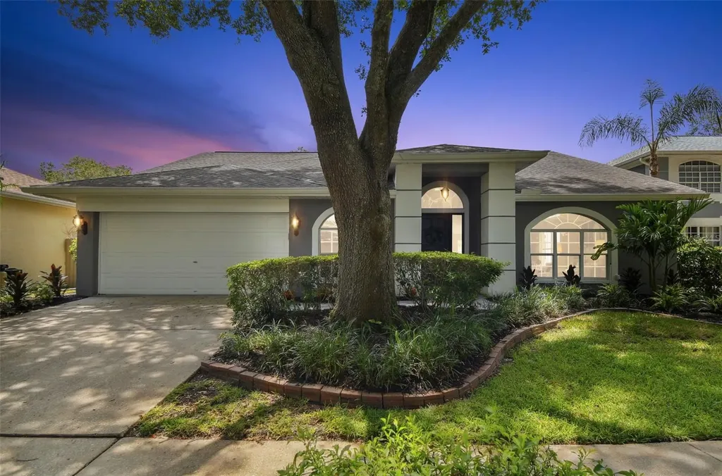 9309 Hampshire Park Drive Tampa FL 33647