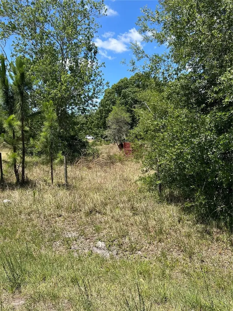 2519 State Road 33 Clermont FL 34714