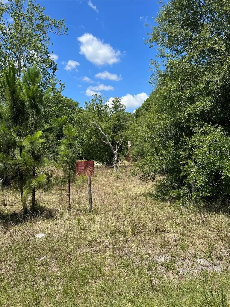 2519 State Road 33 Clermont FL 34714