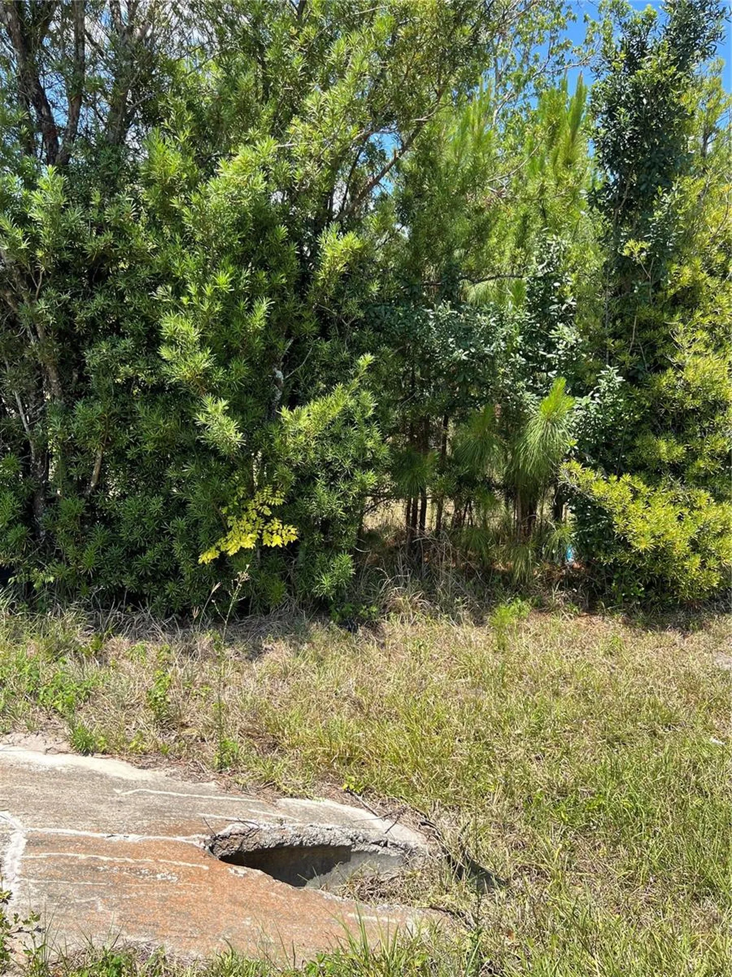 2519 State Road 33 Clermont FL 34714