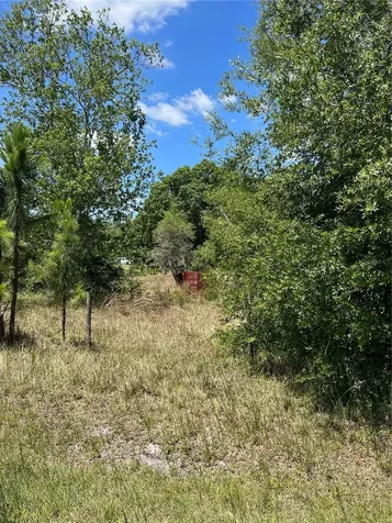 2519 State Road 33 Clermont FL 34714