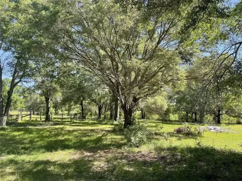 482 SW Coyote Circle Fort White FL 32038