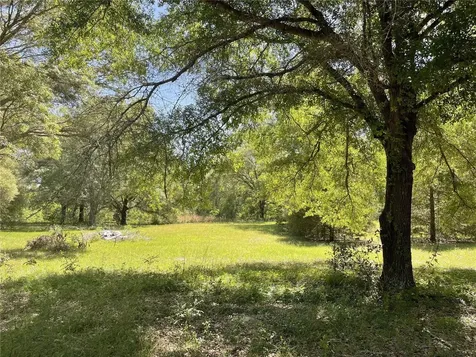 482 SW Coyote Circle Fort White FL 32038