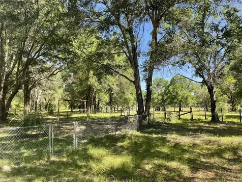 482 SW Coyote Circle Fort White FL 32038