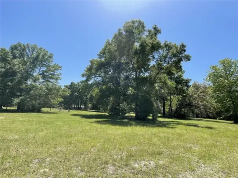 482 SW Coyote Circle Fort White FL 32038