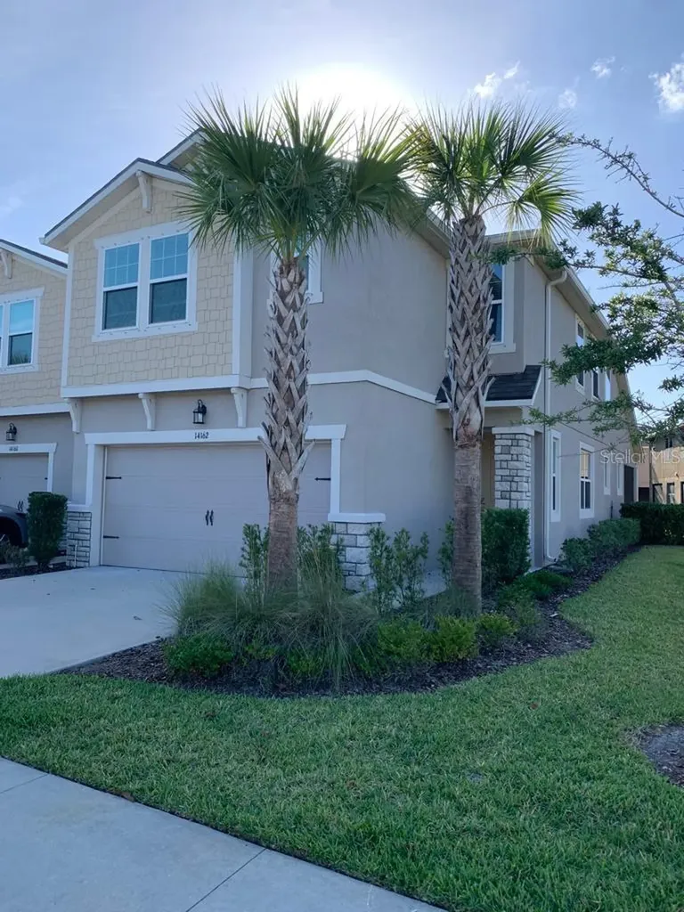 14162 Damselfly Drive Tampa FL 33625