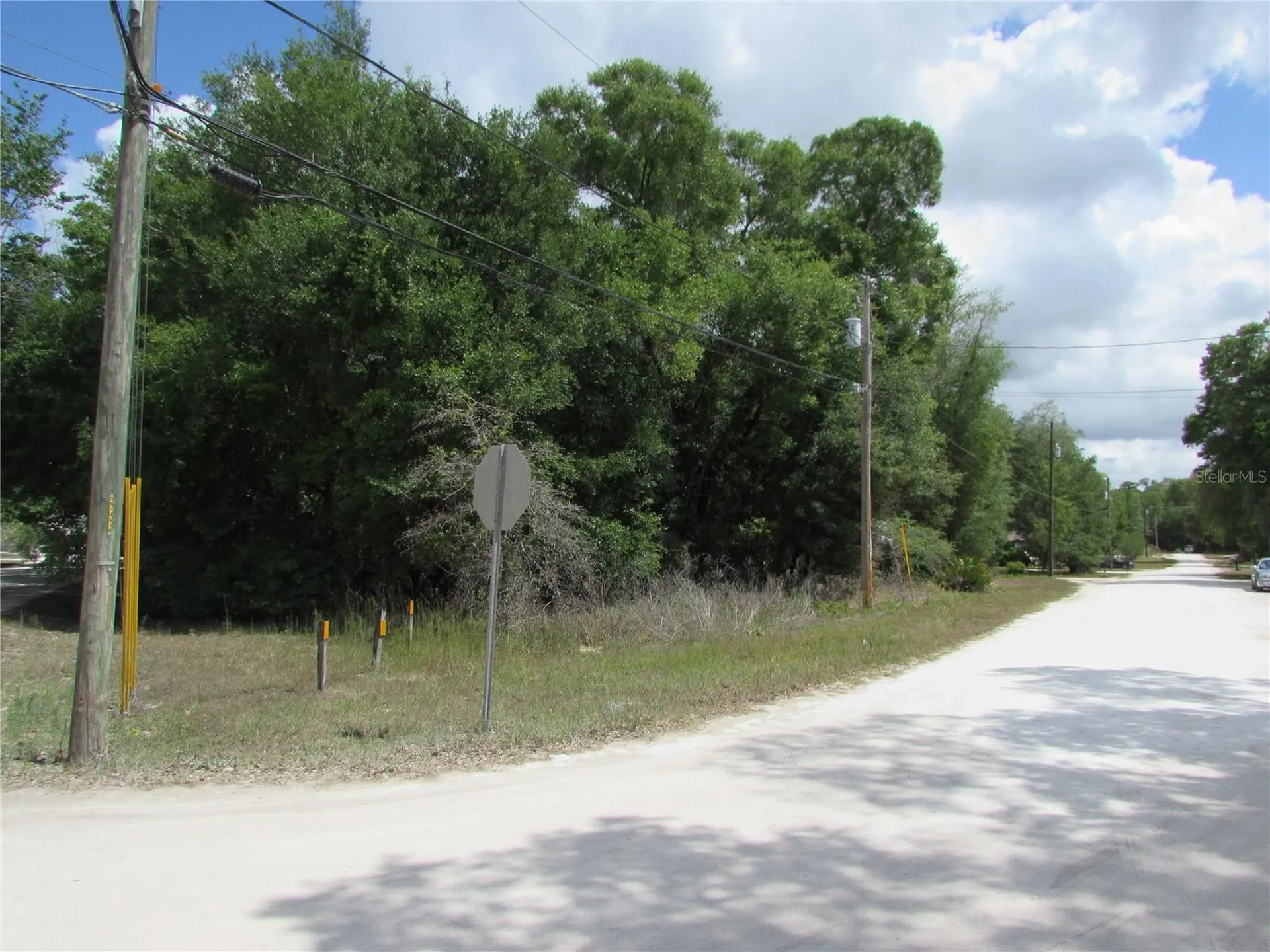 Tbd Street Benedict Drive Dunnellon FL 34432