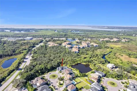 8002 Red Orchard Court Tampa FL 33635
