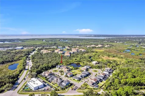 8002 Red Orchard Court Tampa FL 33635
