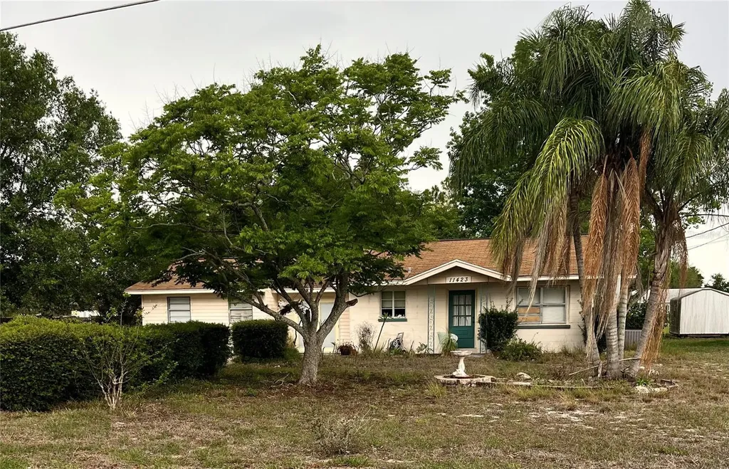 11423 Layton Street Leesburg FL 34788
