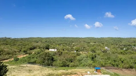 D-7 Carr. 201 Vieques PR 00765