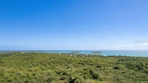 D-7 Carr. 201 Vieques PR 00765
