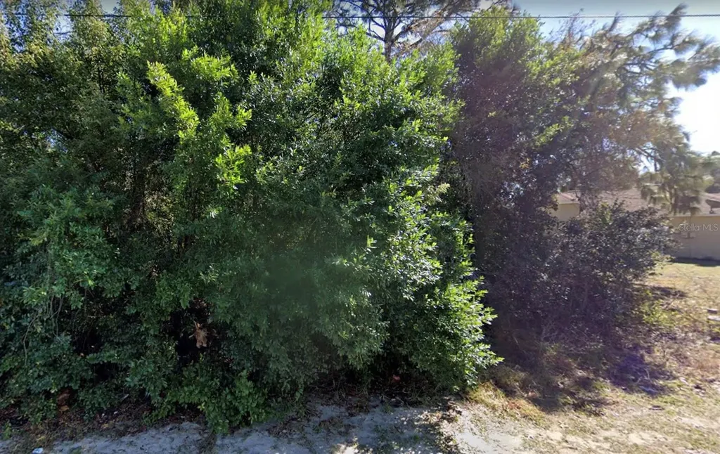 4436 Azora Road Spring Hill FL 34608
