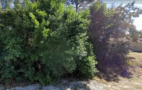 4436 Azora Road Spring Hill FL 34608