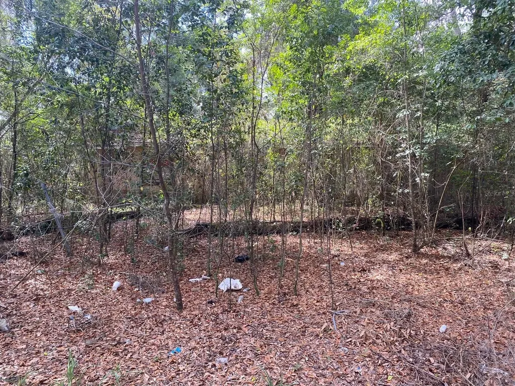2945 County Road 238 Wildwood FL 34785