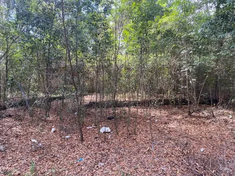 2945 County Road 238 Wildwood FL 34785