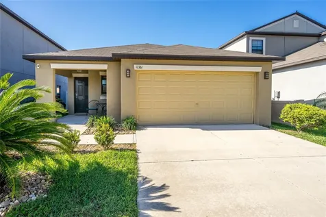 12761 Lemon Pepper Drive Riverview FL 33578