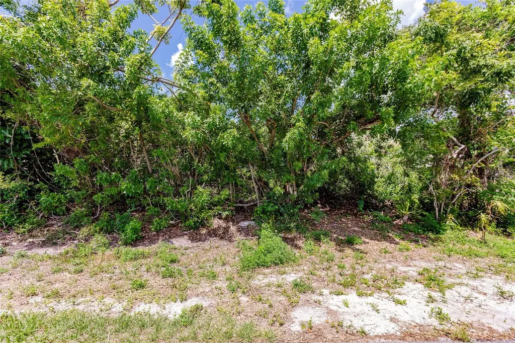 2113 Wonderwin Street Port Charlotte FL 33948