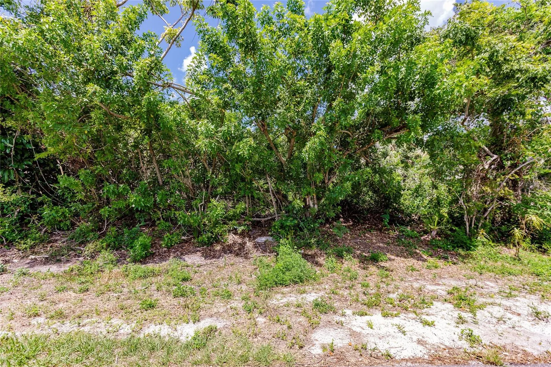2113 Wonderwin Street Port Charlotte FL 33948
