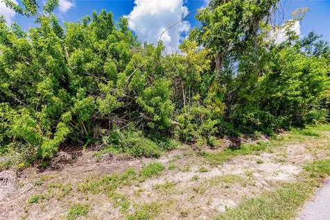 2113 Wonderwin Street Port Charlotte FL 33948